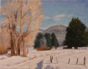 785WinterColors16x20