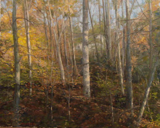 831 Into the Woods 24x30